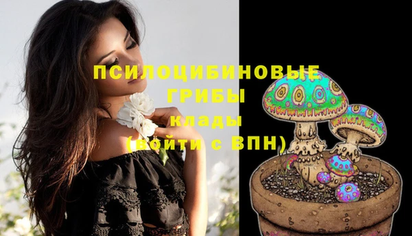 эйфоретик Зерноград