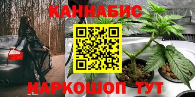 spice Гатчина
