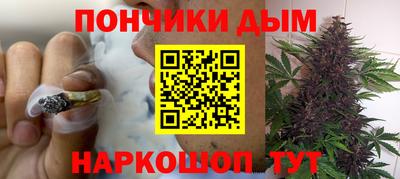 spice Гатчина