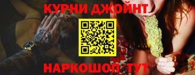 spice Гатчина
