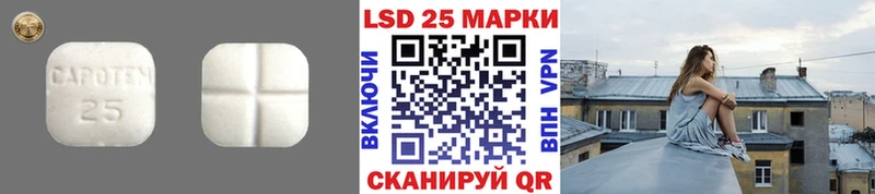 blacksprut как войти Майкоп Лсд 25 экстази кислота