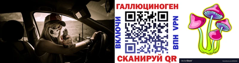 цены   Майкоп  Псилоцибиновые грибы Psilocybine cubensis 