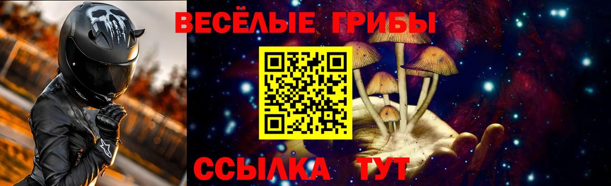 Майкоп  даркнет сайт  Вход с VPN  Галлюциногенные грибы Psilocybe 